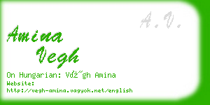 amina vegh business card